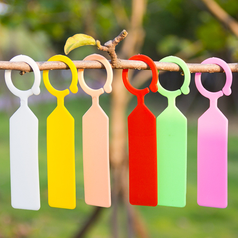 Garden Label Marker - 50 ชิ้นกันน้ําป้ายโรงงานบ้านดอกไม้หมวดหมู่เรือนกระจก Orchard โรงงานพลาสติกหมวดหมู่สวนเครื่องมือ Reusable ต้นกล้าป้าย