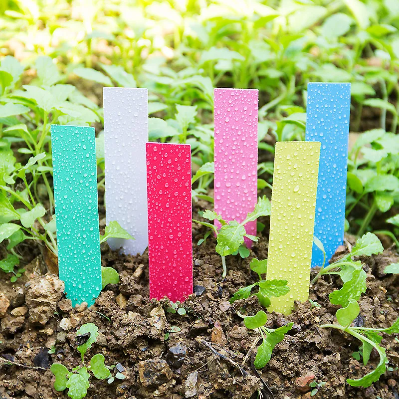 Garden Label Marker - 100Pcsหนา4นิ้วป้ายพลาสติกReusableยาวกันน้ำสวนพืชMarker Tags 5สีGrowป้าย