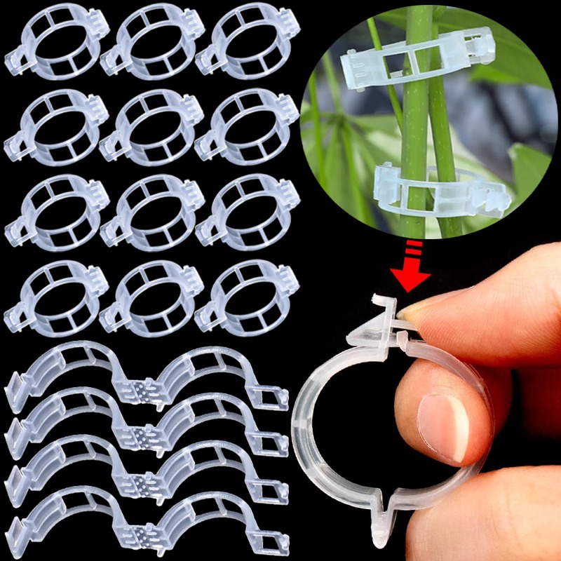 Gardening Tools Holder - คลิปหนีบยึดต้นไม้แบบใช้ซ้ำได้ 300/50 ชิ้น ทำจากพลาสติก สำหรับยึดต้นองุ่น มะเขือเทศ