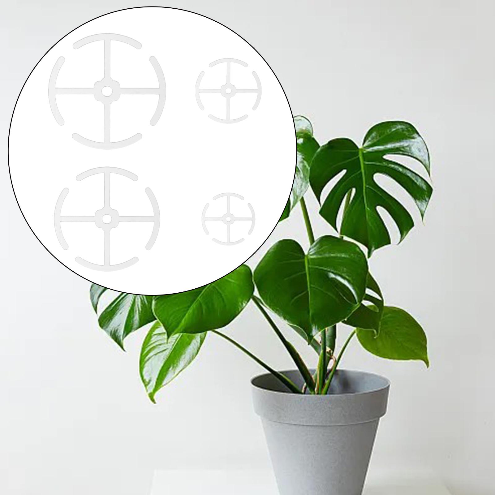 ที่ยึดก้านต้นไม้พลาสติก หลายขน - Gardening Tools Holder บทวิจารณ์และราคา