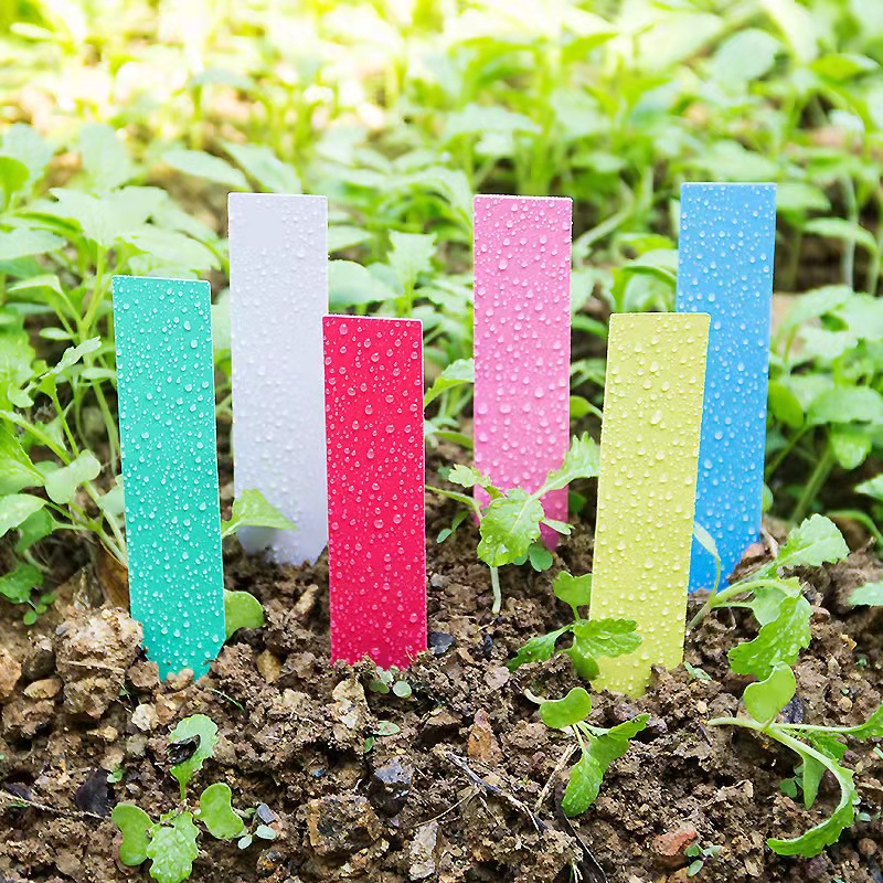 100 ชิ้นสวนป้ายโรงงานพลาสติกแท - Garden Label Marker บทวิจารณ์และราคา