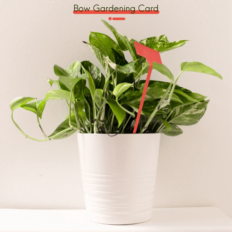 ABYP สวนเครื่องมือปลูก 50 ชิ้น - Garden Label Marker บทวิจารณ์และราคา