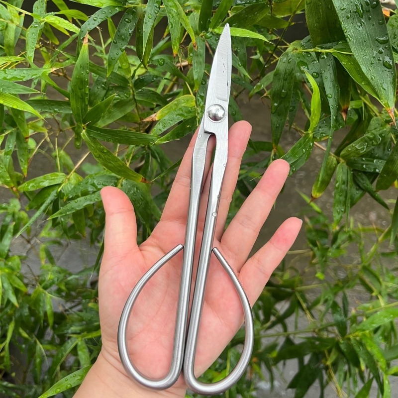 กรรไกรตัดกิ่งไม้เล็ก อุปกรณ์ทำ - Gardening Tools Japanese บทวิจารณ์และราคา