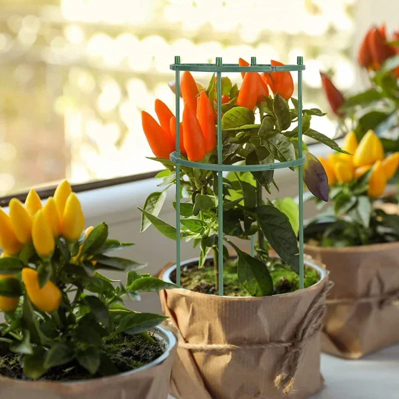 เสาค้ำต้นไม้พลาสติก สำหรับดอกไ - Gardening Tools Holder บทวิจารณ์และราคา