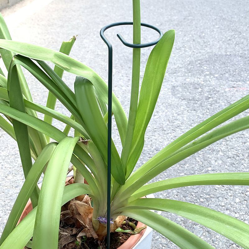 1-10pcs โลหะ SINGLE Stem พืชไม - Gardening Tools Holder บทวิจารณ์และราคา