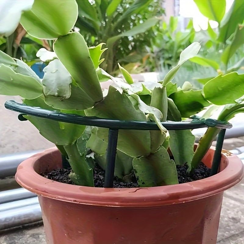 เสาค้ำต้นไม้พลาสติกแบบครึ่งวงก - Gardening Tools Holder บทวิจารณ์และราคา