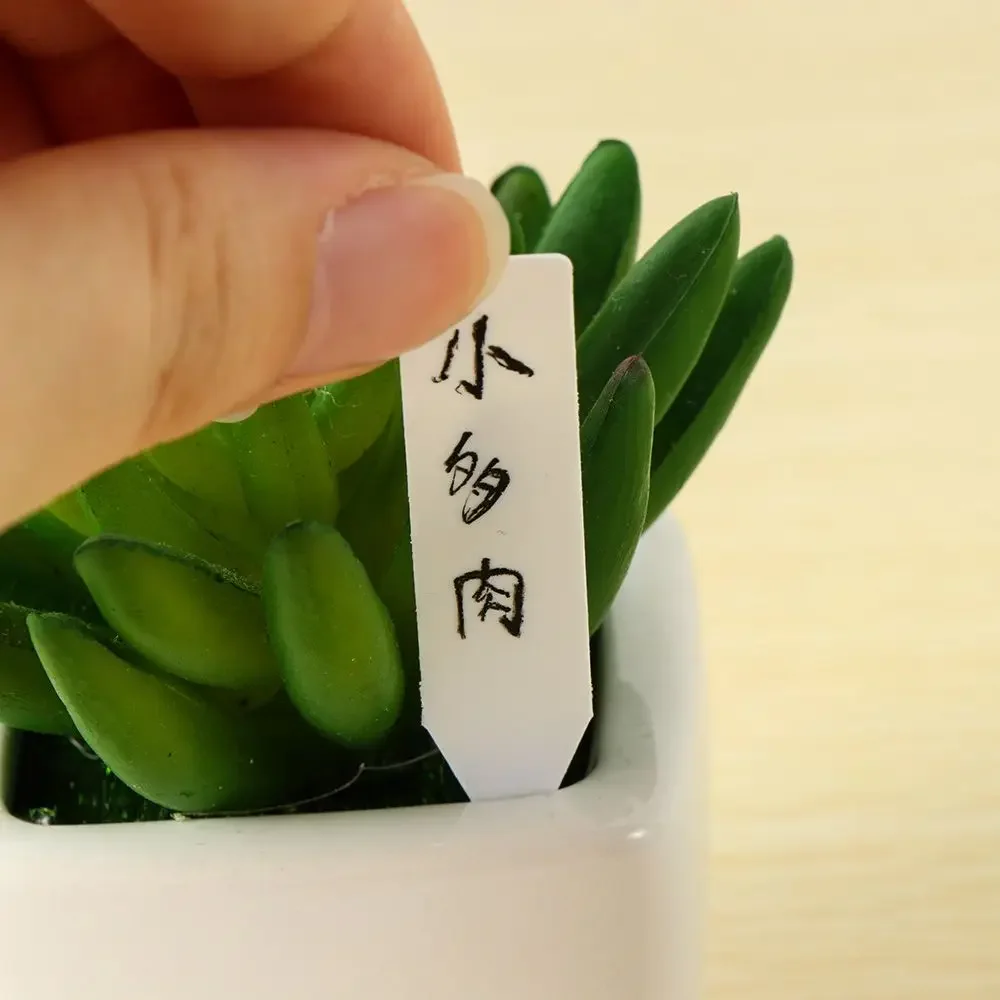 100 ชิ้นนํากลับมาใช้ใหม่การจํา - Garden Label Marker บทวิจารณ์และราคา