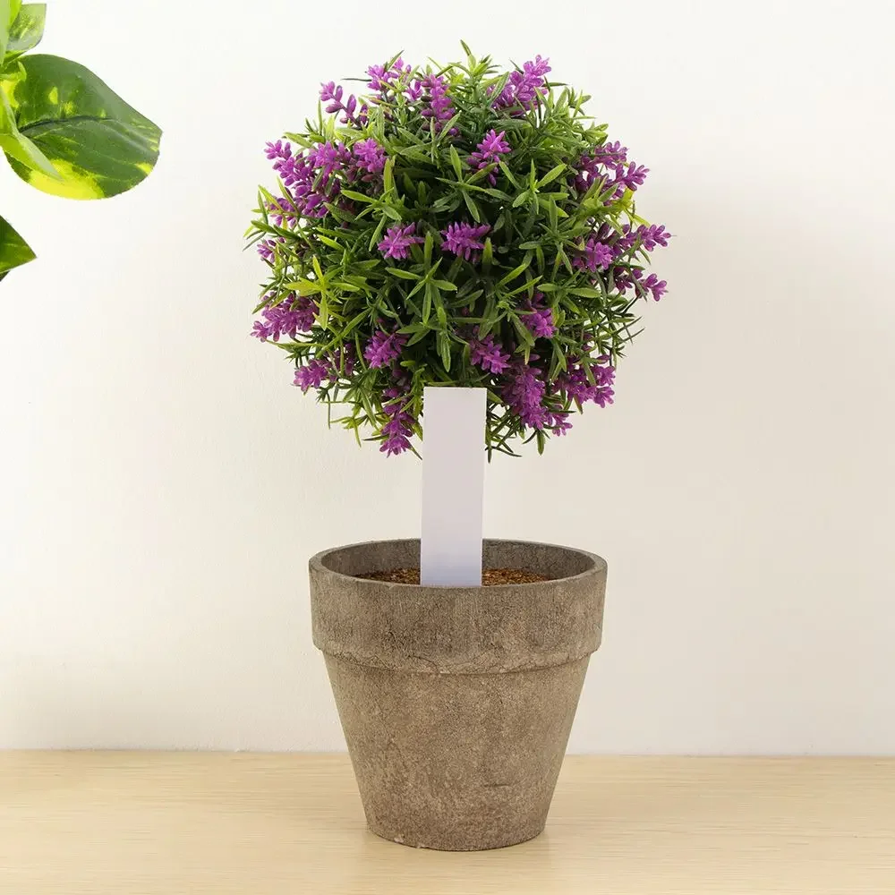 100 ชิ้นนํากลับมาใช้ใหม่การจํา - Garden Label Marker บทวิจารณ์และราคา