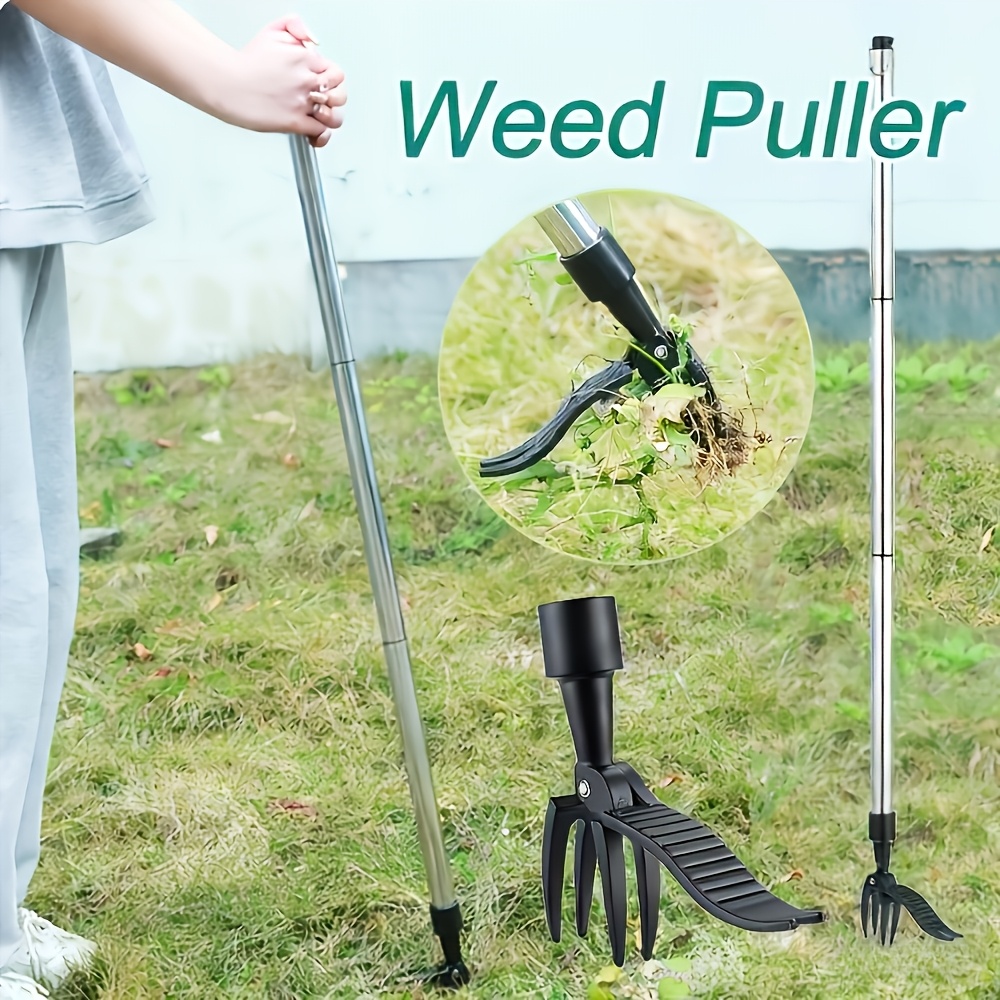 เครื่องกำจัดวัชพืชแนวตั้งแบบโล - Gardening Tools For Weeds บทวิจารณ์และราคา