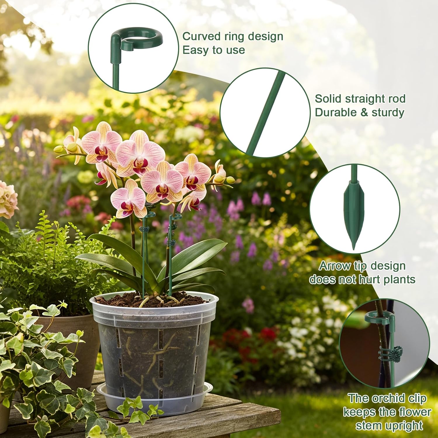 เสาค้ำต้นไม้ 5/10 ชิ้น สำหรับย - Gardening Tools Holder บทวิจารณ์และราคา