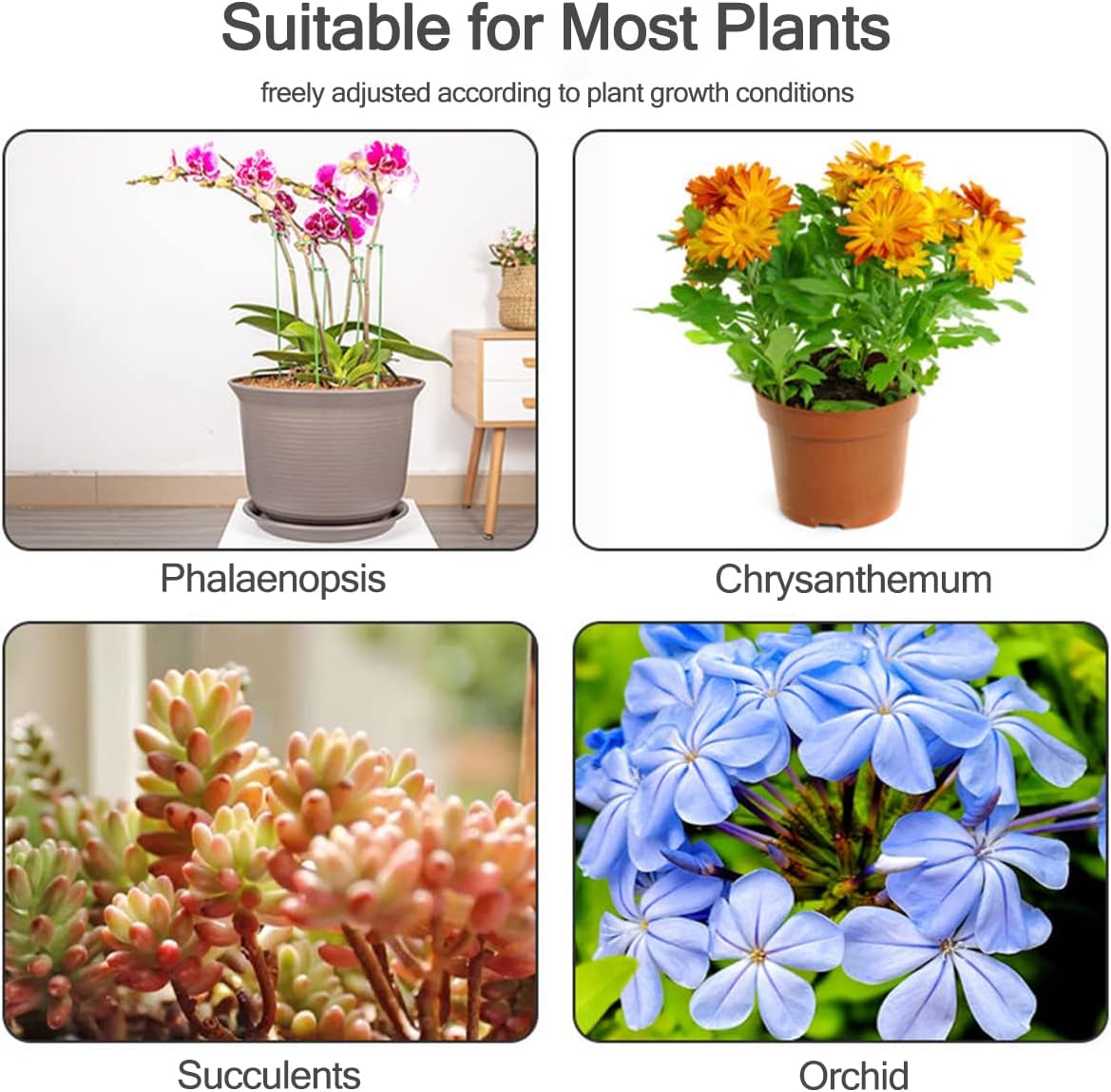 เสาค้ำต้นไม้ 5/10 ชิ้น สำหรับย - Gardening Tools Holder บทวิจารณ์และราคา