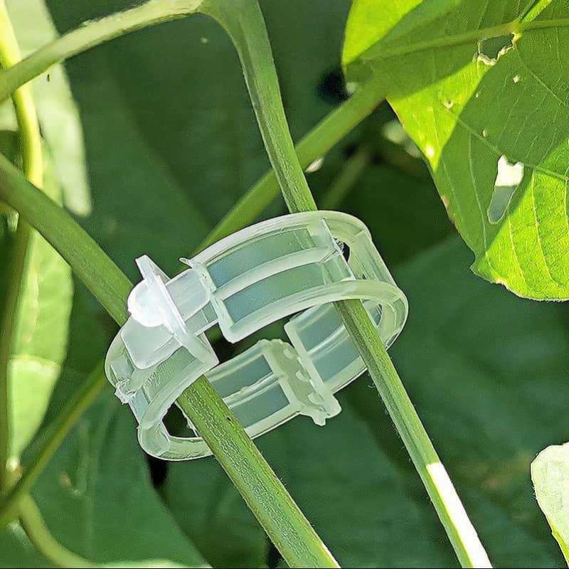 คลิปหนีบยึดต้นไม้แบบใช้ซ้ำได้  - Gardening Tools Holder บทวิจารณ์และราคา