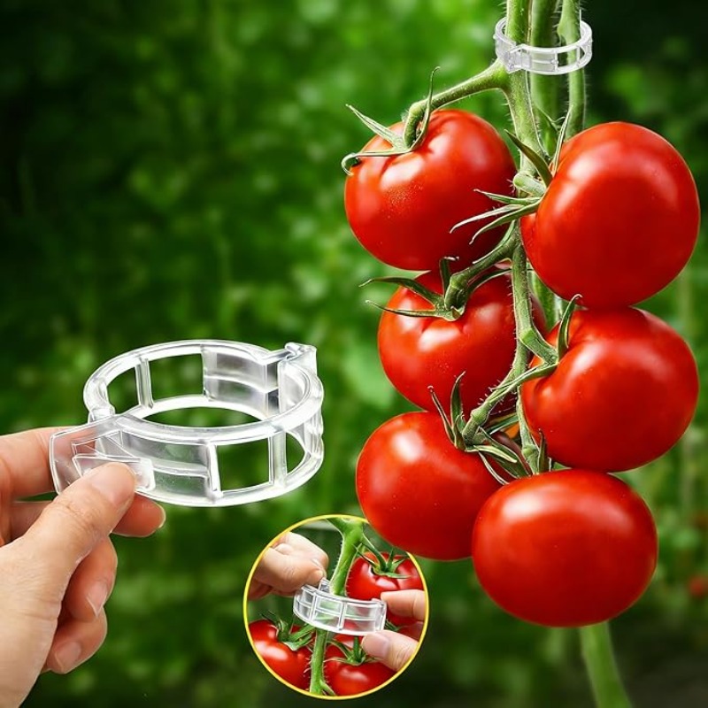 คลิปหนีบยึดต้นไม้แบบใช้ซ้ำได้  - Gardening Tools Holder บทวิจารณ์และราคา